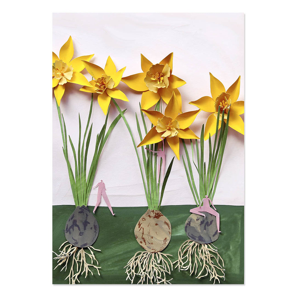 Catherine Holtzhausen Daffodils