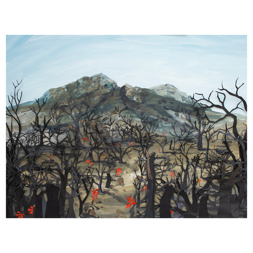 Fynbos Fire Fire Lily catherine holtzhausen Paper Collage Art