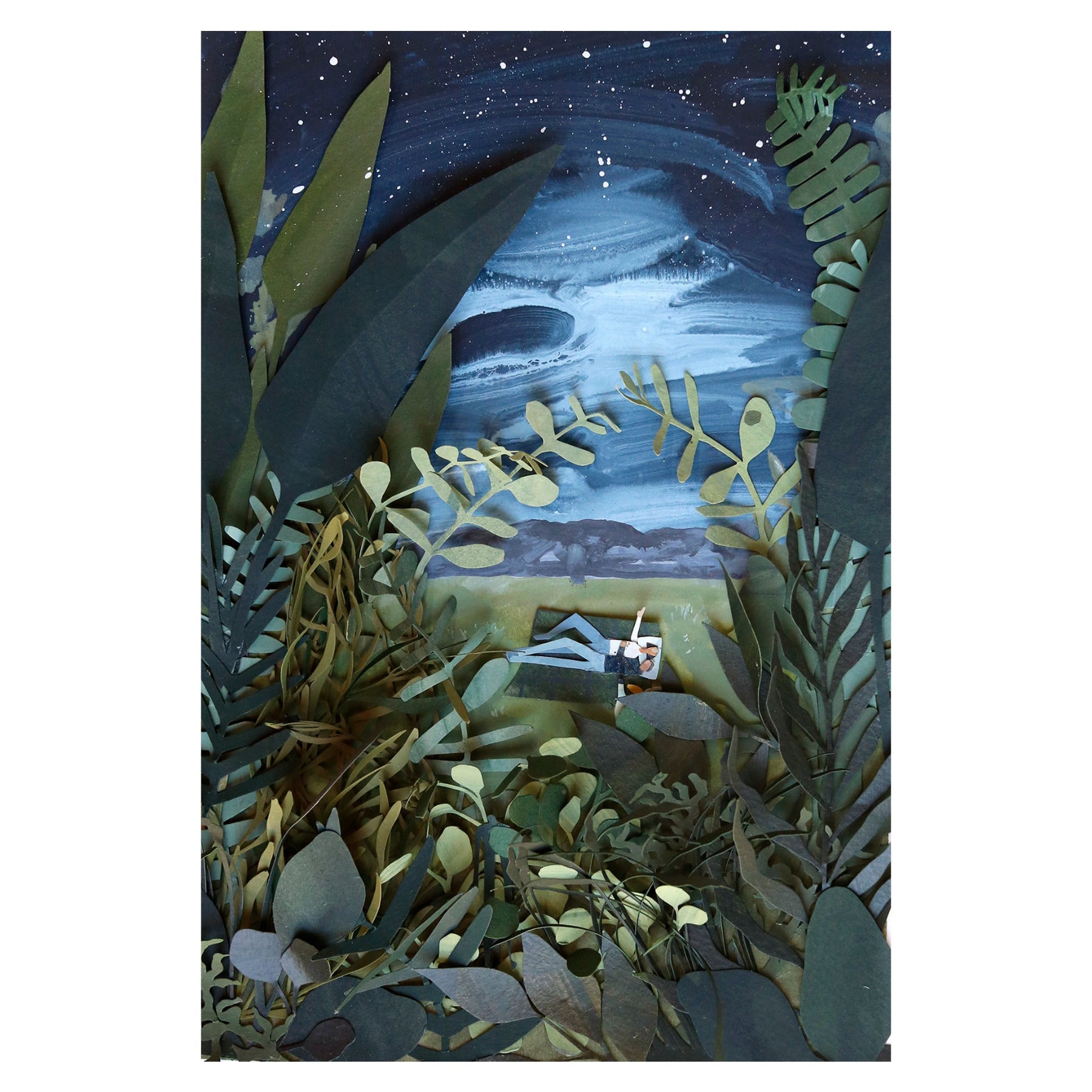 quirky landscape star gazing catherine holtzhausen